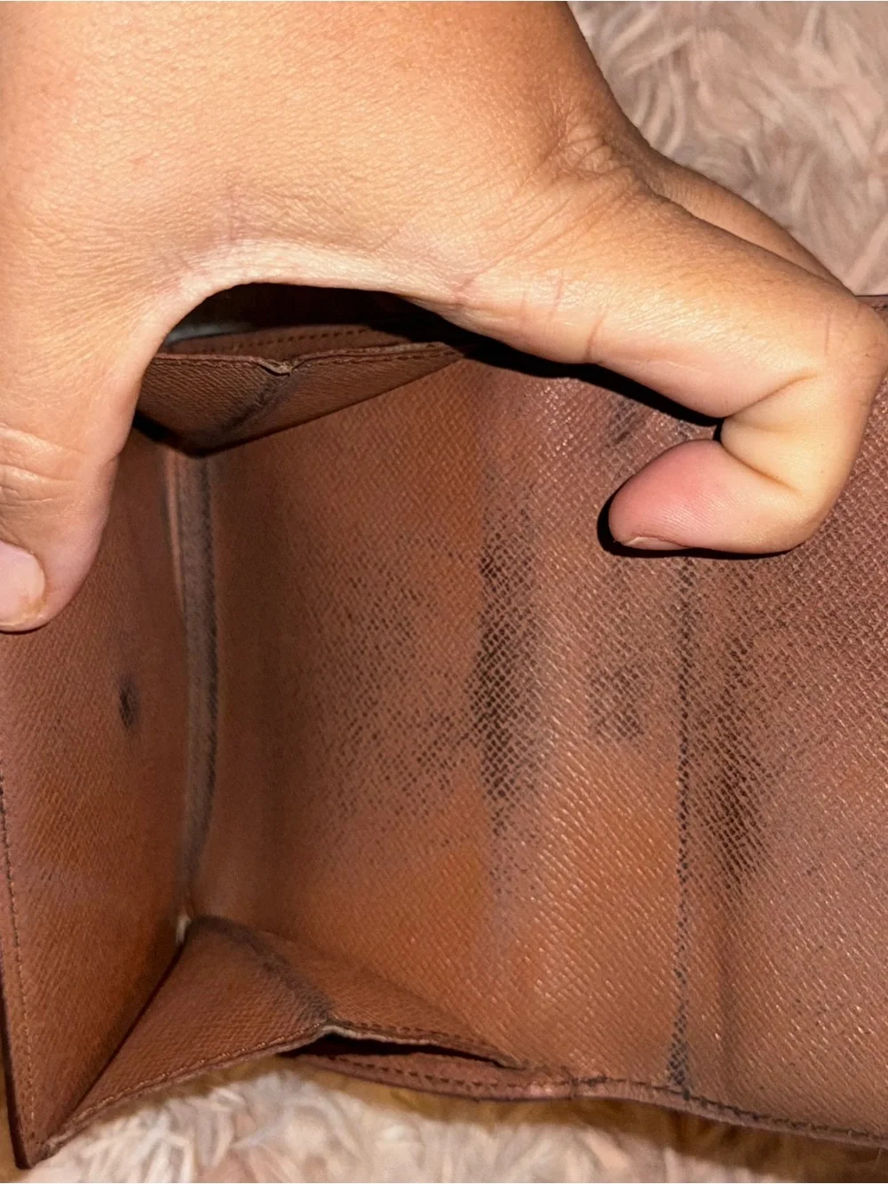 Louis Vuitton authentic louis